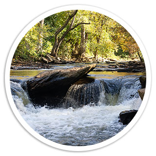 Surface Level View of a Small Waterfall on Big Creek in Chattahoochee River National Recreation Area in Autumn